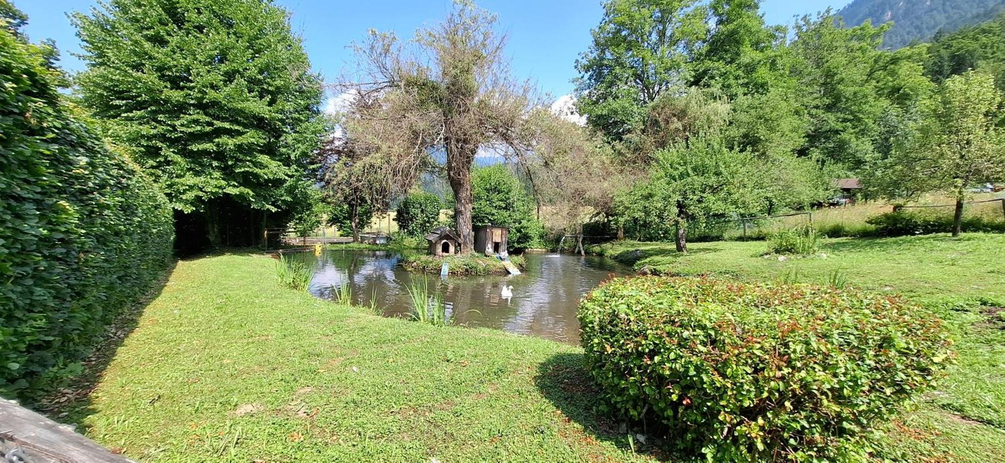 Ferienwohnungen Schloss Wasserleonburg Noetsch Ngoại thất bức ảnh